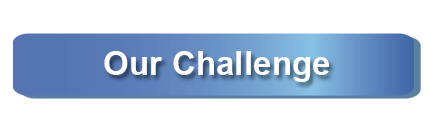 Our Challenge